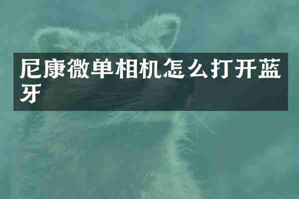 尼康微单相机怎么打开蓝牙