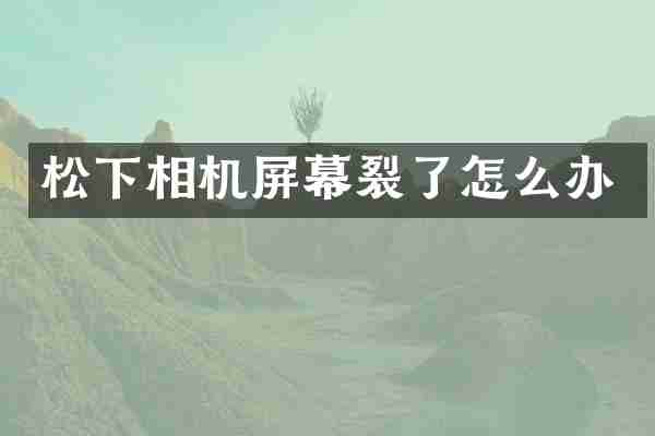相机屏幕裂了怎么办
