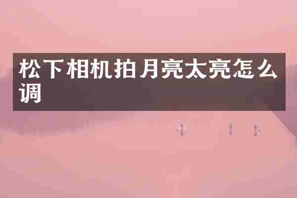 松下相机拍月亮太亮怎么调
