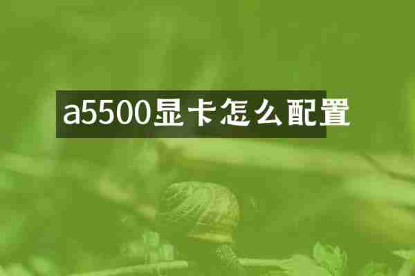 a5500显卡怎么配置