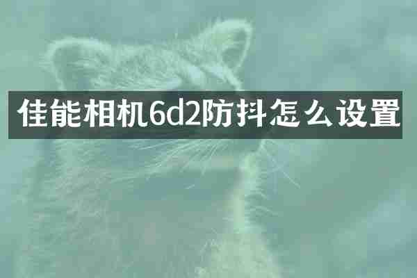 佳能相机6d2防抖怎么设置