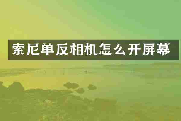 索尼单反相机怎么开屏幕