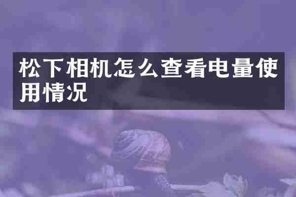 松下相机怎么查看电量使用情况