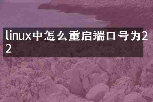 linux中怎么重启端口号为22