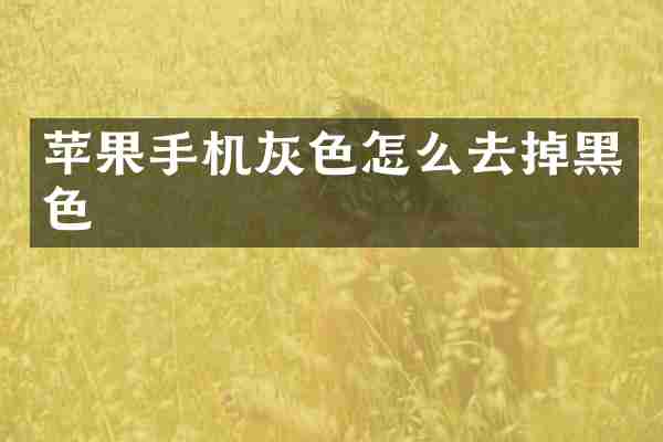 苹果手机灰色怎么去掉黑色
