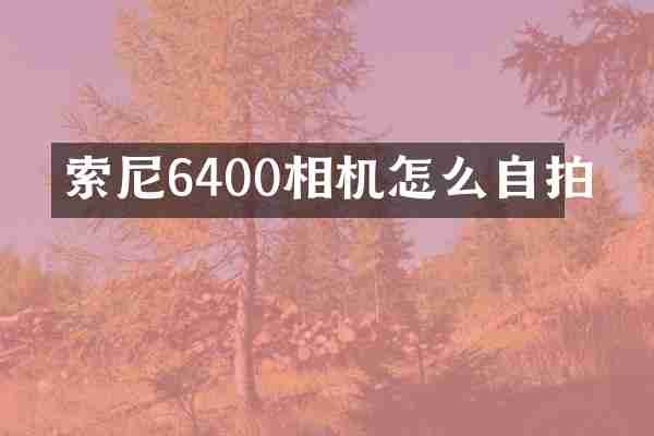 索尼6400相机怎么自拍