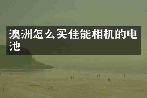 澳洲怎么买佳能相机的电池