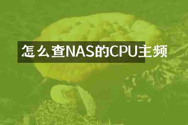 怎么查NAS的CPU主频