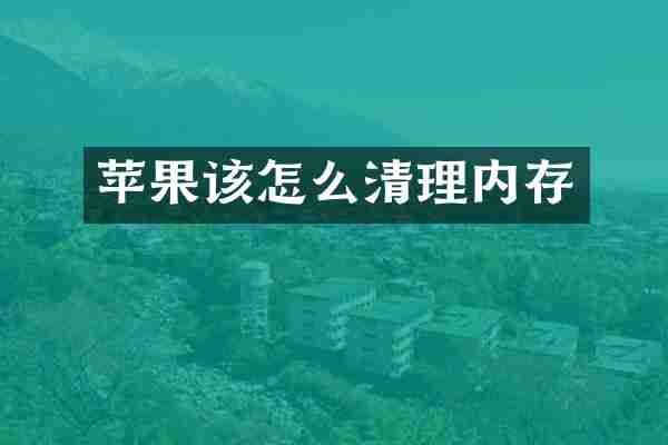 苹果该怎么清理内存