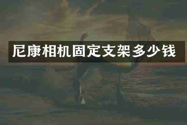 尼康相机固定支架多少钱