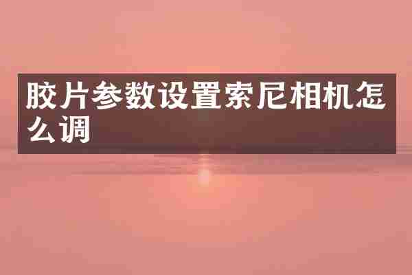 胶片参数设置相机怎么调