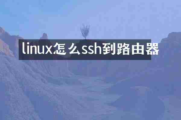 linux怎么ssh到路由器