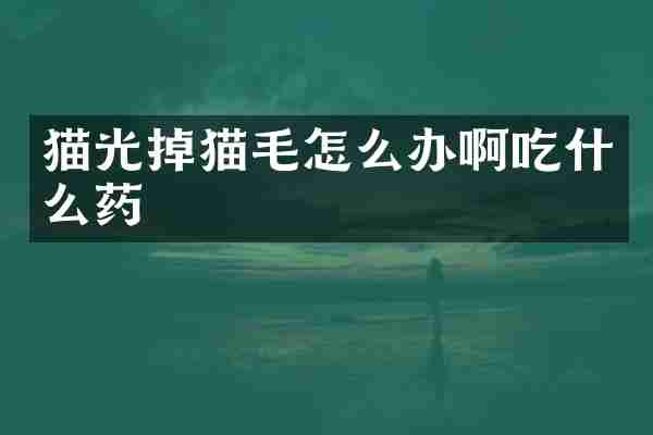 猫光掉猫毛怎么办啊吃什么药