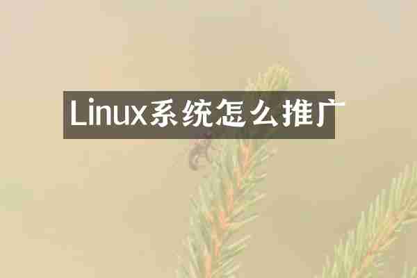 Linux系统怎么推广