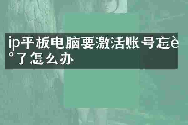 ip平板电脑要激活账号忘记了怎么办
