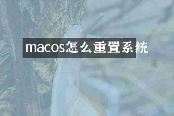 macos怎么重置系统