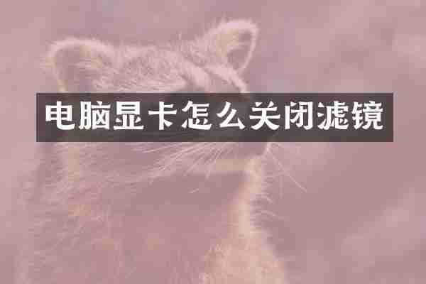电脑显卡怎么关闭滤镜