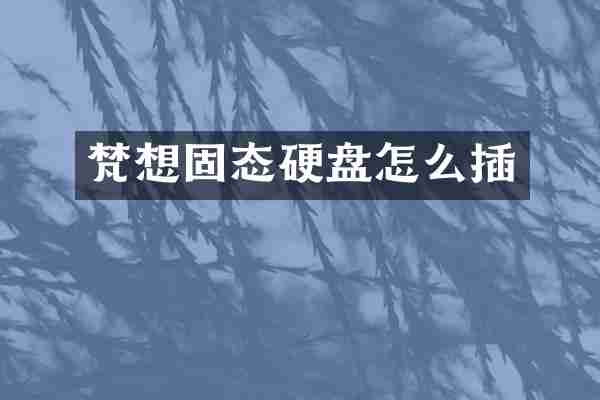梵想固态硬盘怎么插