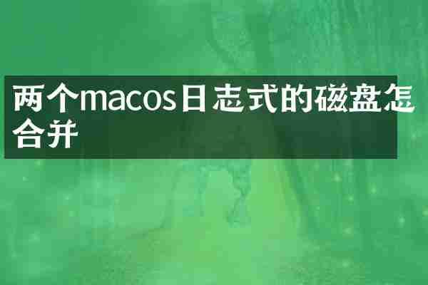 两个macos日志式的磁盘怎么合并