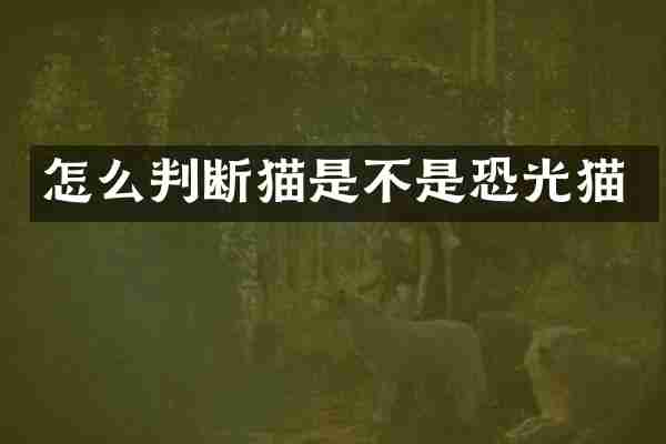 怎么判断猫是不是恐光猫