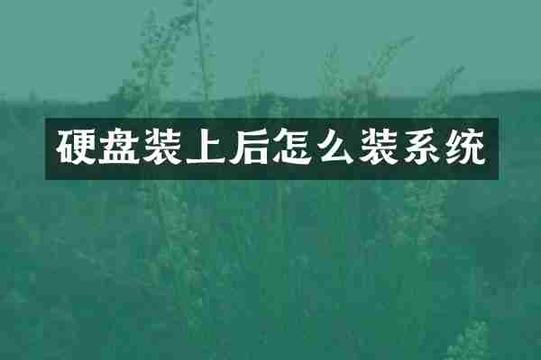 硬盘装上后怎么装系统