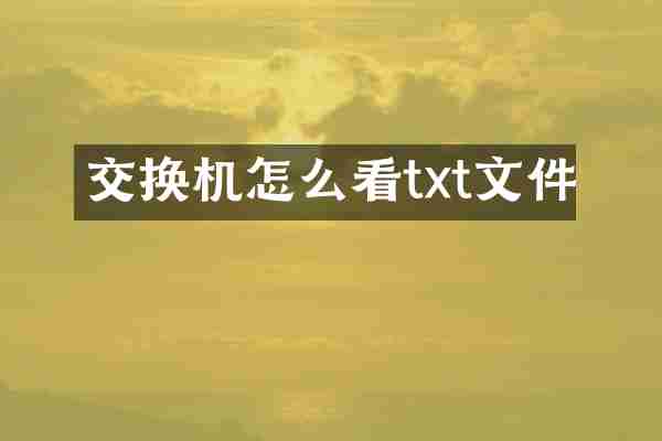交换机怎么看txt文件