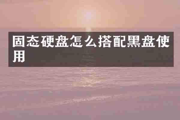 固态硬盘怎么搭配黑盘使用