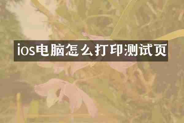 ios电脑怎么打印测试页