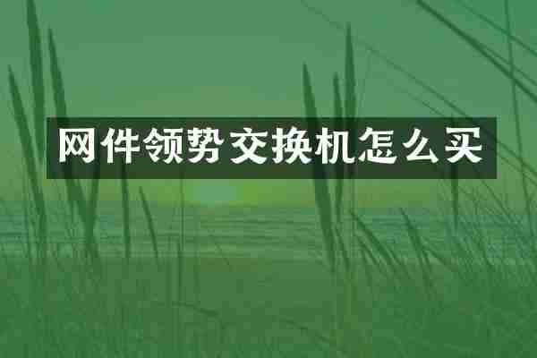 网件领势交换机怎么买