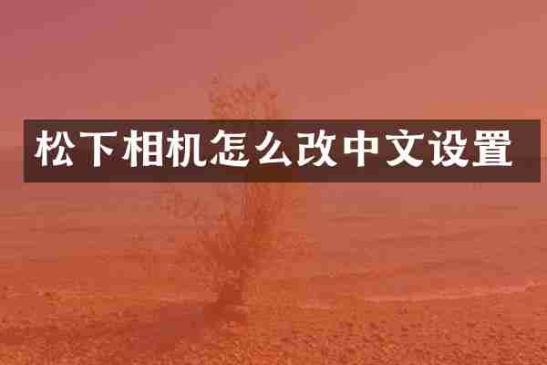 相机怎么改中文设置