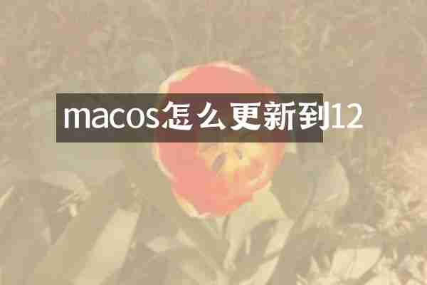 macos怎么更新到12
