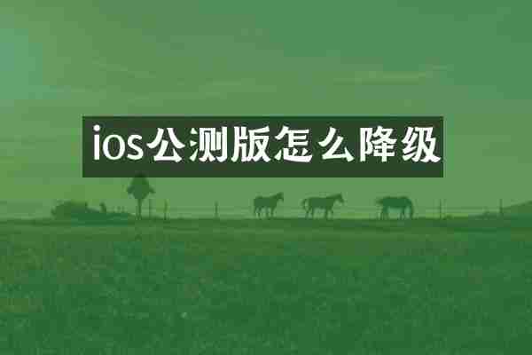 ios公测版怎么降级