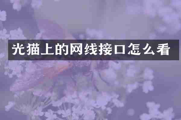 光猫上的网线接口怎么看