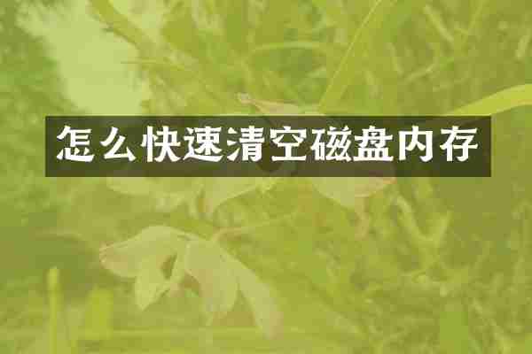怎么快速清空磁盘内存
