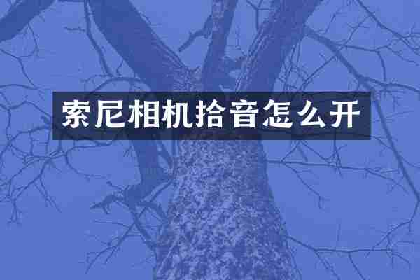 相机拾音怎么开