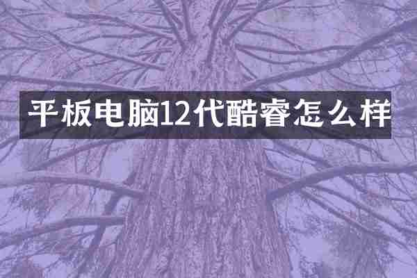 平板电脑12代酷睿怎么样