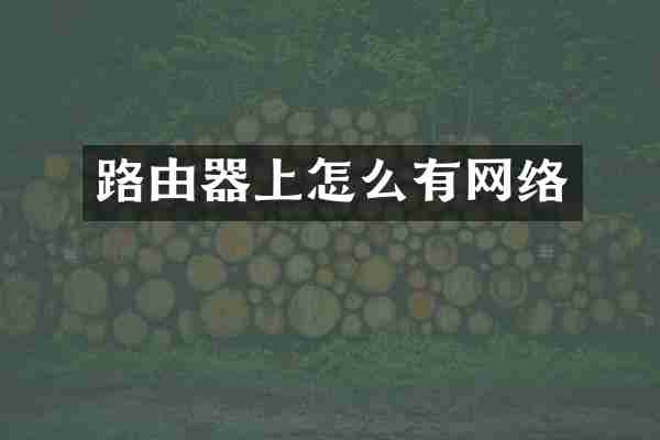 路由器上怎么有网络