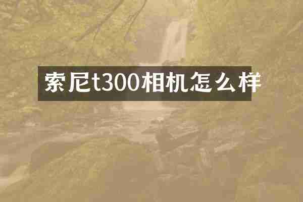 索尼t300相机怎么样