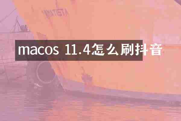 macos 11.4怎么刷抖音