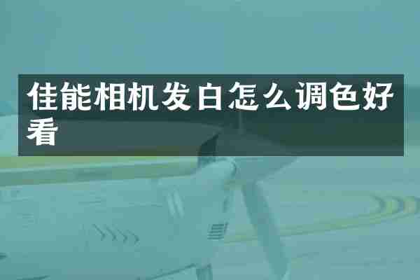 佳能相机发白怎么调色好看