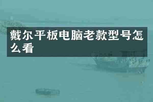 戴尔平板电脑老款型号怎么看