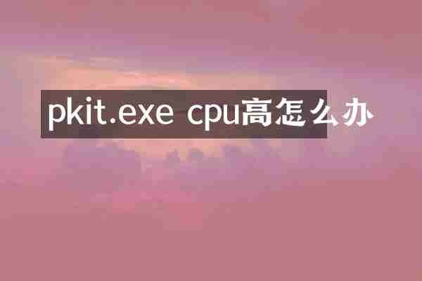 pkit.exe cpu高怎么办