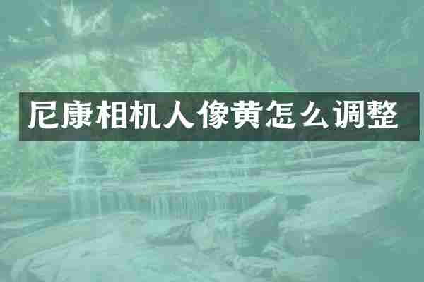 尼康相机人像黄怎么调整
