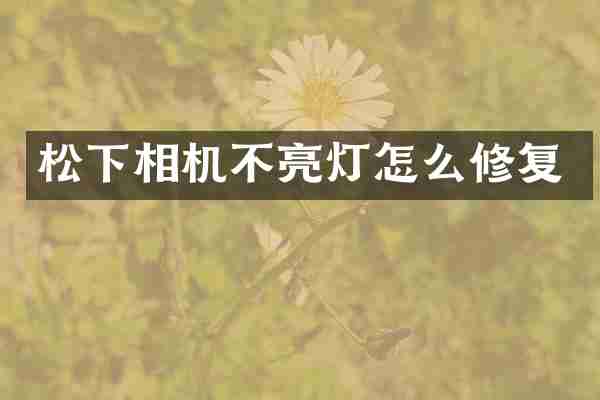 松下相机不亮灯怎么修复