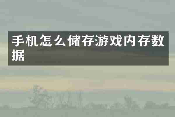 手机怎么储存游戏内存数据