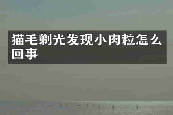 猫毛剃光发现小肉粒怎么回事