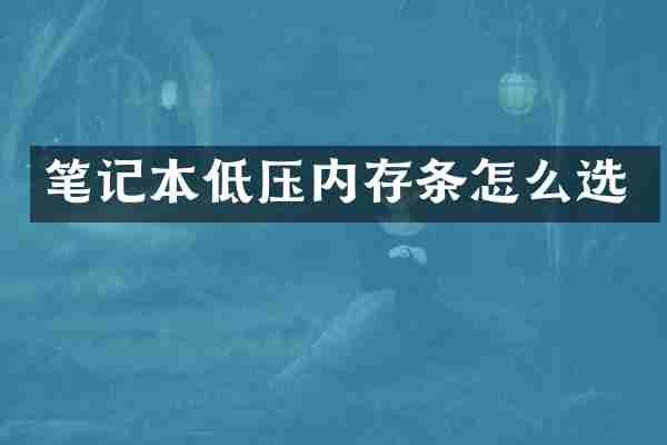 笔记本低压内存条怎么选