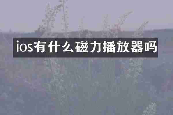 ios有什么磁力播放器吗