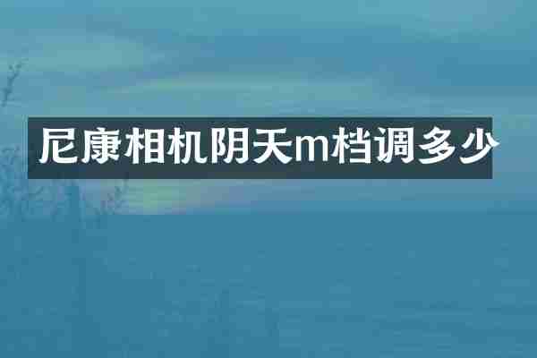 尼康相机阴天m档调多少