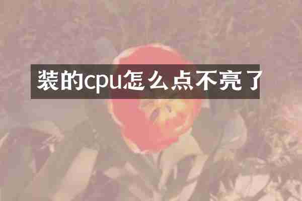 装的cpu怎么点不亮了